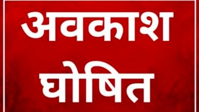 CG Holiday News : सार्वजनिक एवं सामान्य अवकाश घोषित