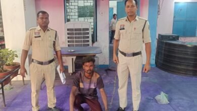 Raigarh Crime News : आपसी विवाद में बड़े भाई ने की छोटे भाई की हत्या