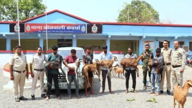 Chhattisgarh crime news : छत्तीसगढ़ में बकरा चोर गिरोह का पर्दाफाश, बेचते थे मटन दुकानों, 7 आरोपी गिरफ्तार, 16 बकरियाँ और मॉडिफाइड इनोवा जब्त