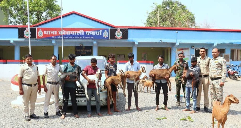 Chhattisgarh crime news : छत्तीसगढ़ में बकरा चोर गिरोह का पर्दाफाश, बेचते थे मटन दुकानों, 7 आरोपी गिरफ्तार, 16 बकरियाँ और मॉडिफाइड इनोवा जब्त