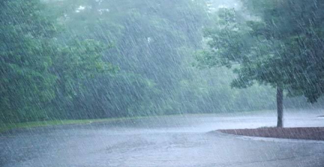 CG Weather Report : प्रदेश में अब तक 62.5 मि.मी. औसत वर्षा दर्ज, जशपुर में हुई ज्यादा बारिश और इस जिले में सबसे कम